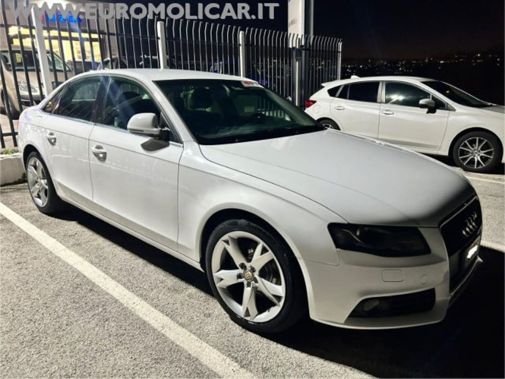 Audi A4 usata a Campobasso (2)