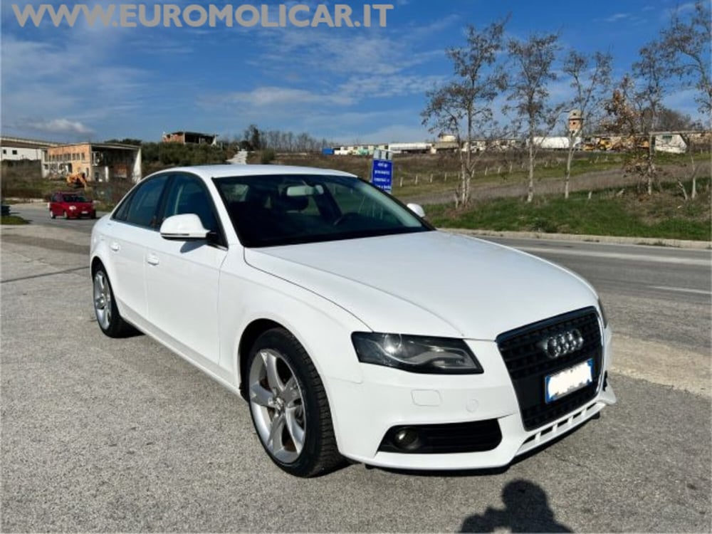 Audi A4 usata a Campobasso (8)