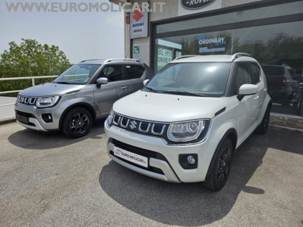 Suzuki Ignis nuova a Campobasso (3)