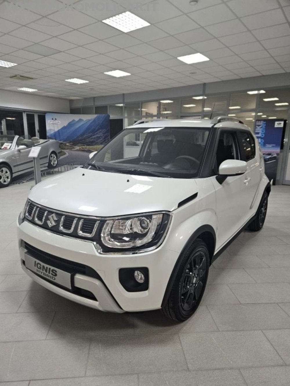 Suzuki Ignis nuova a Campobasso (4)