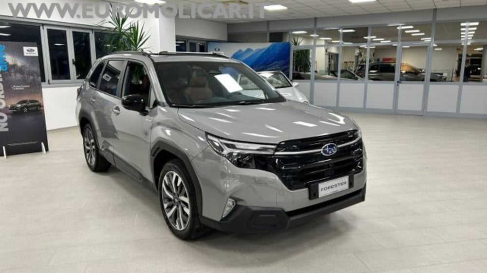 Subaru Forester nuova a Campobasso (2)