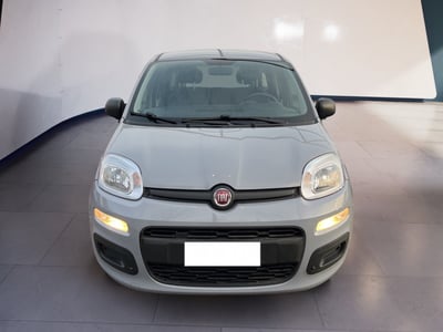 Fiat Panda 1.2 EasyPower Easy  del 2019 usata a Torino