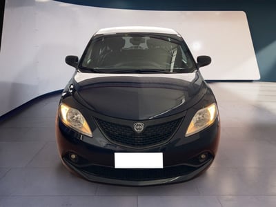 Lancia Ypsilon 1.2 69 CV 5 porte Elefantino Blu  del 2020 usata a Torino