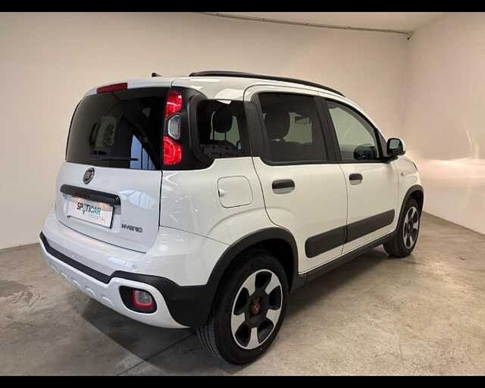 Fiat Panda Cross usata a Milano (4)