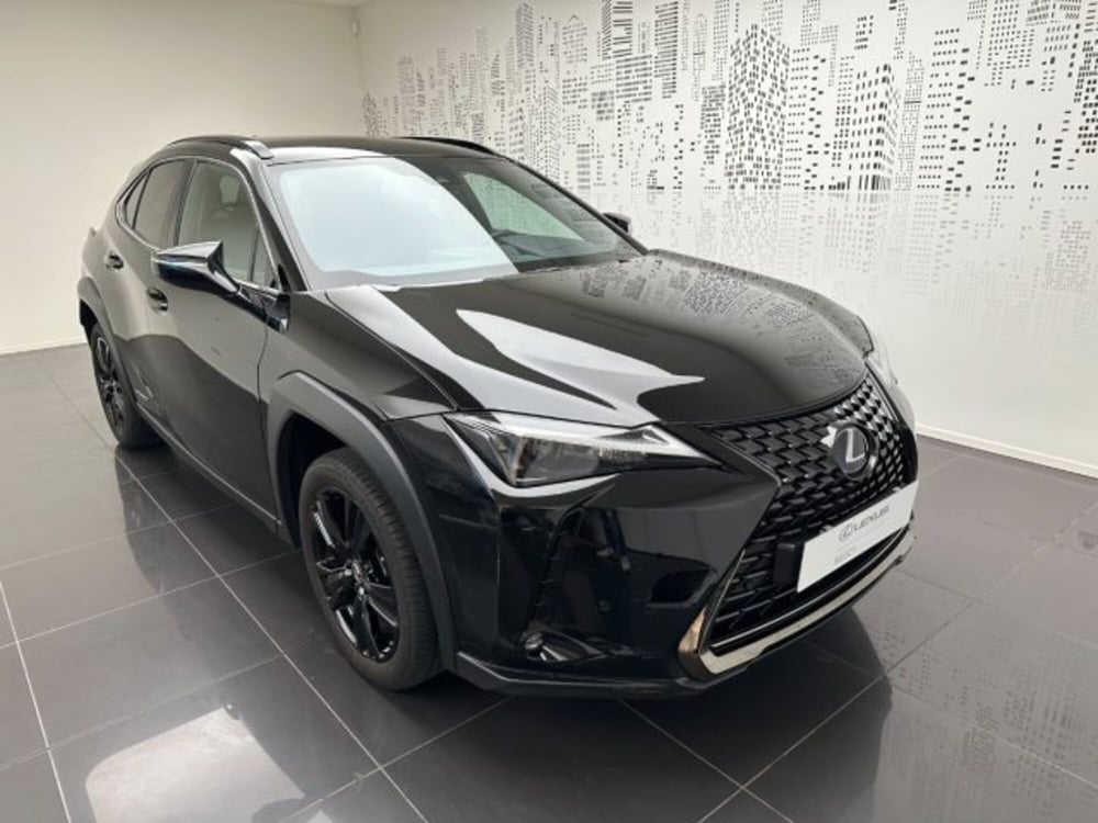 Lexus UX usata a Cuneo (3)