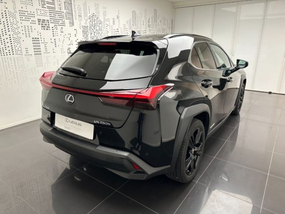 Lexus UX usata a Cuneo (4)