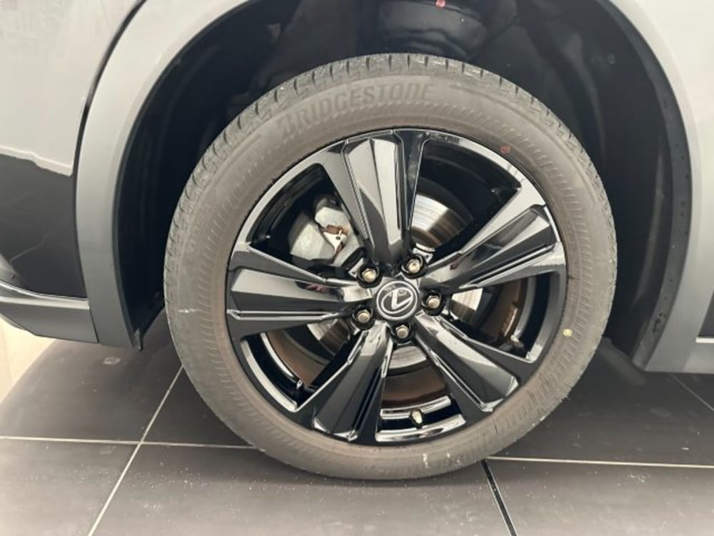 Lexus UX usata a Cuneo (6)