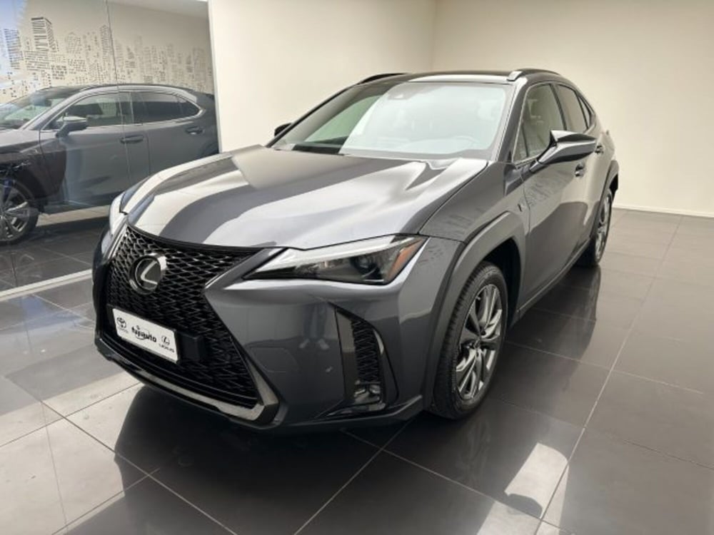 Lexus UX usata a Cuneo