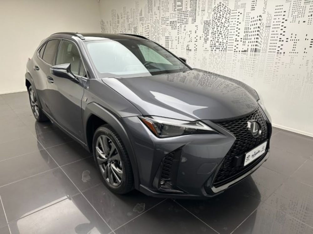 Lexus UX usata a Cuneo (2)