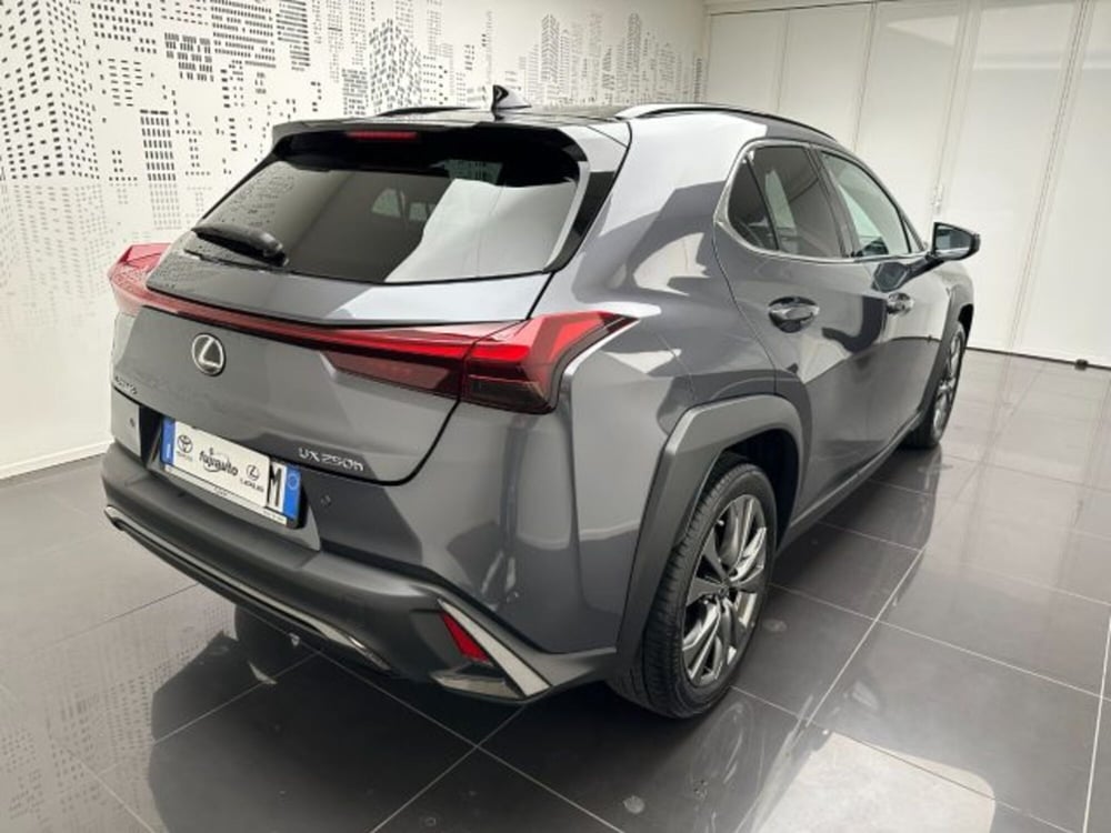 Lexus UX usata a Cuneo (3)