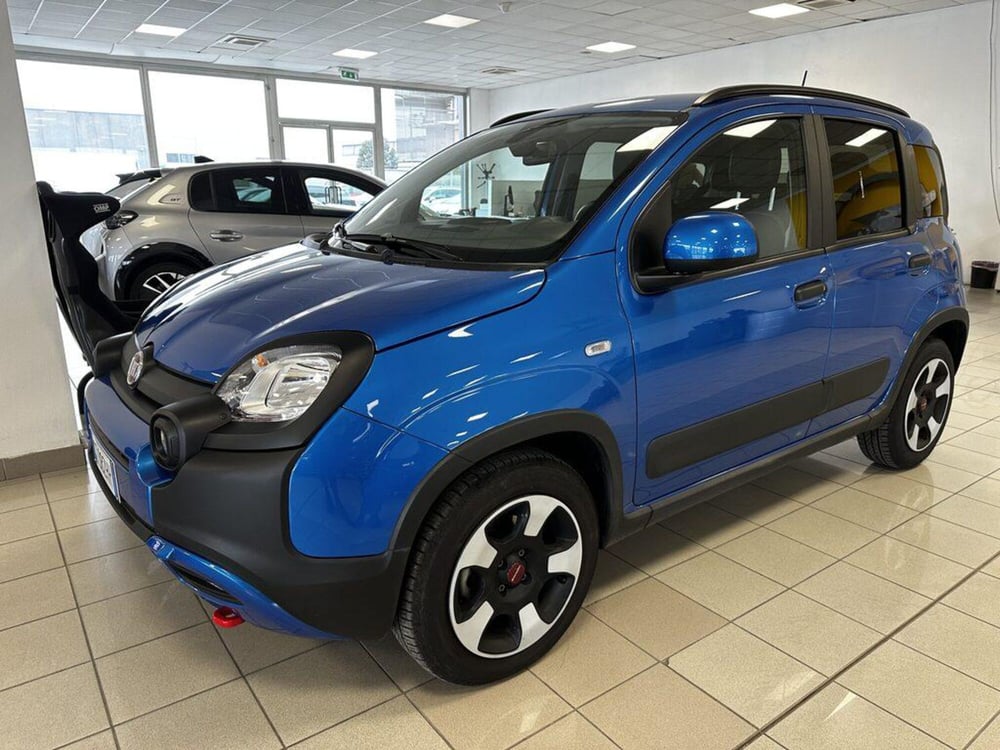 Fiat Panda Cross usata a Torino