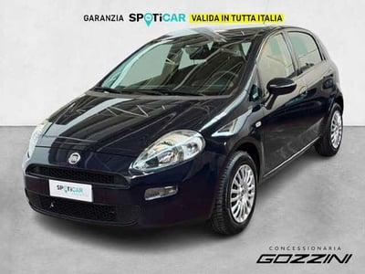 Fiat Punto 1.2 8V 5 porte Street  del 2017 usata a Rovato