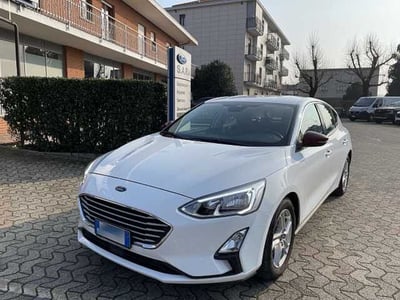 Ford Focus 1.5 EcoBlue 95 CV 5p. Business  del 2018 usata a Airasca