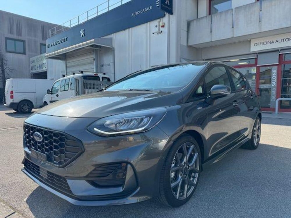 Ford Fiesta usata a Padova