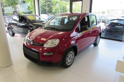 Fiat Panda 1.0 firefly hybrid s&amp;s 70cv 5p.ti nuova a Rho