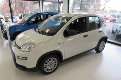 Fiat Panda 1.0 firefly hybrid s&amp;s 70cv 5p.ti nuova a Rho