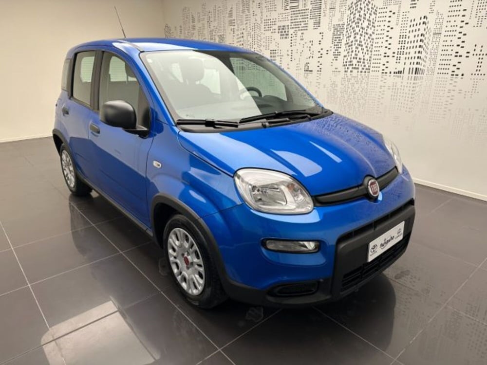 Fiat Panda usata a Cuneo (2)