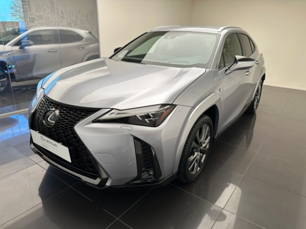 Lexus UX usata a Cuneo