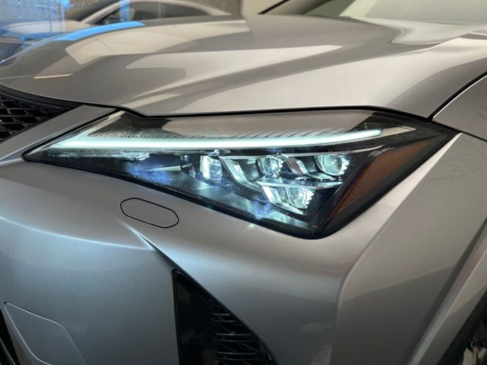 Lexus UX usata a Cuneo (18)