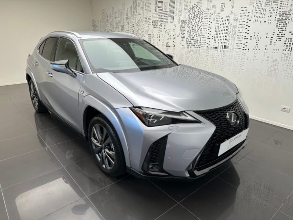 Lexus UX usata a Cuneo (2)