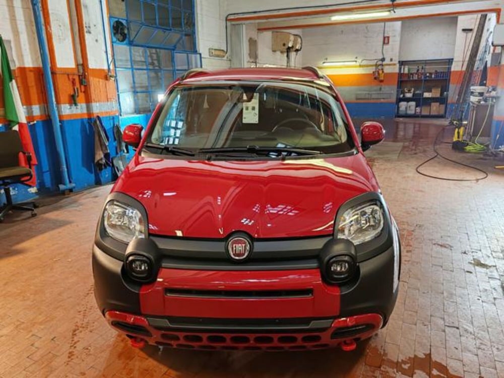 Fiat Panda Cross nuova a Torino (2)