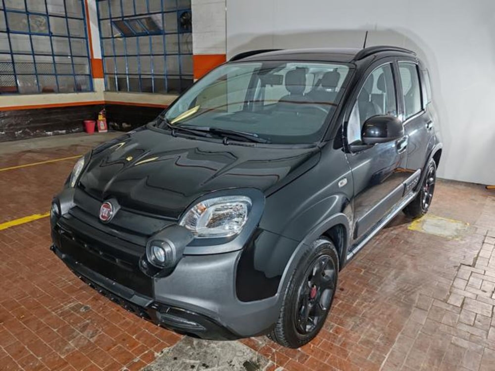 Fiat Panda Cross usata a Torino