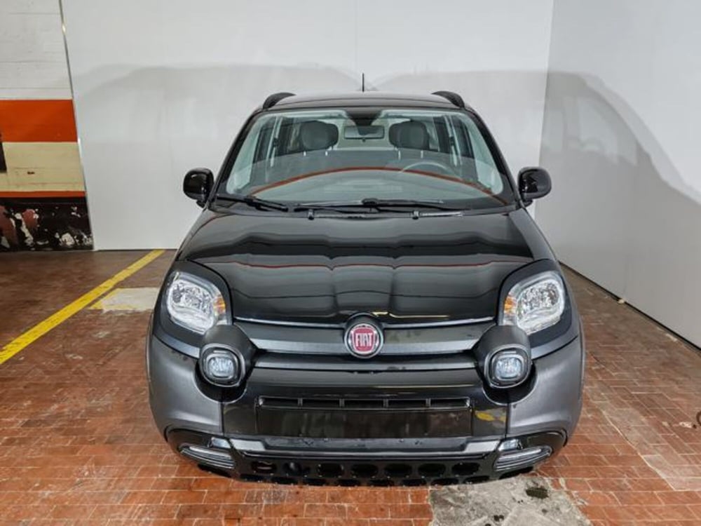 Fiat Panda Cross usata a Torino (2)