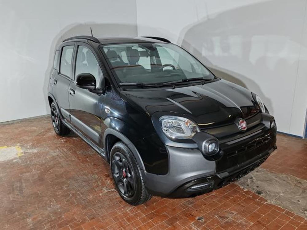 Fiat Panda Cross usata a Torino (3)