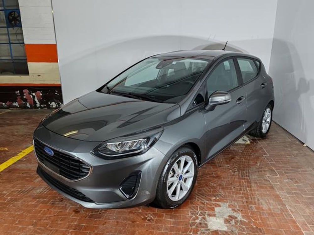 Ford Fiesta usata a Torino