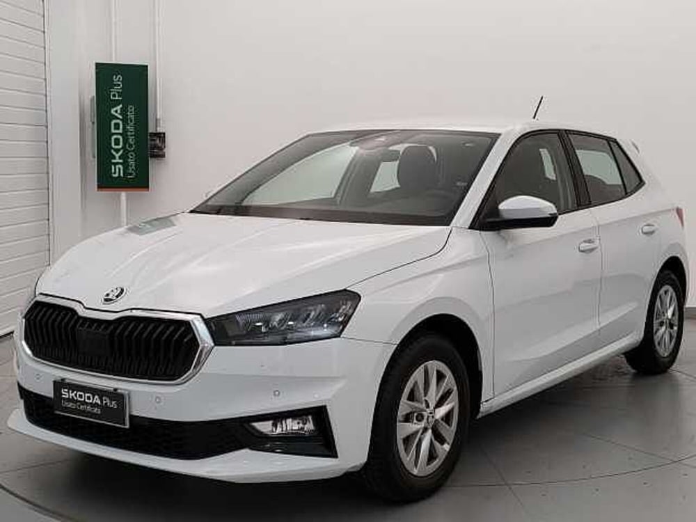 Skoda Fabia usata a Varese