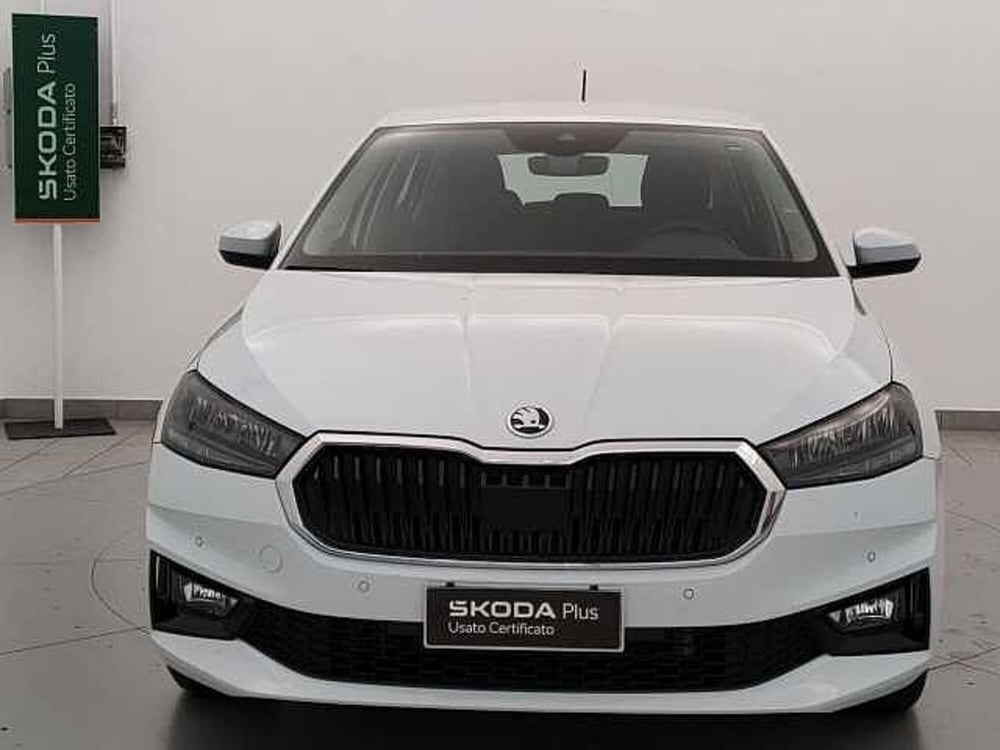 Skoda Fabia usata a Varese (2)