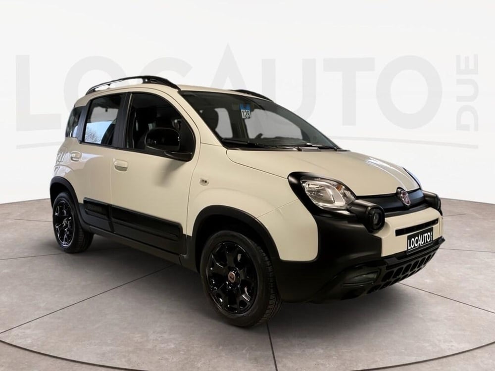 Fiat Panda usata a Torino (3)