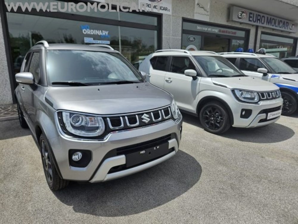 Suzuki Ignis nuova a Campobasso (4)