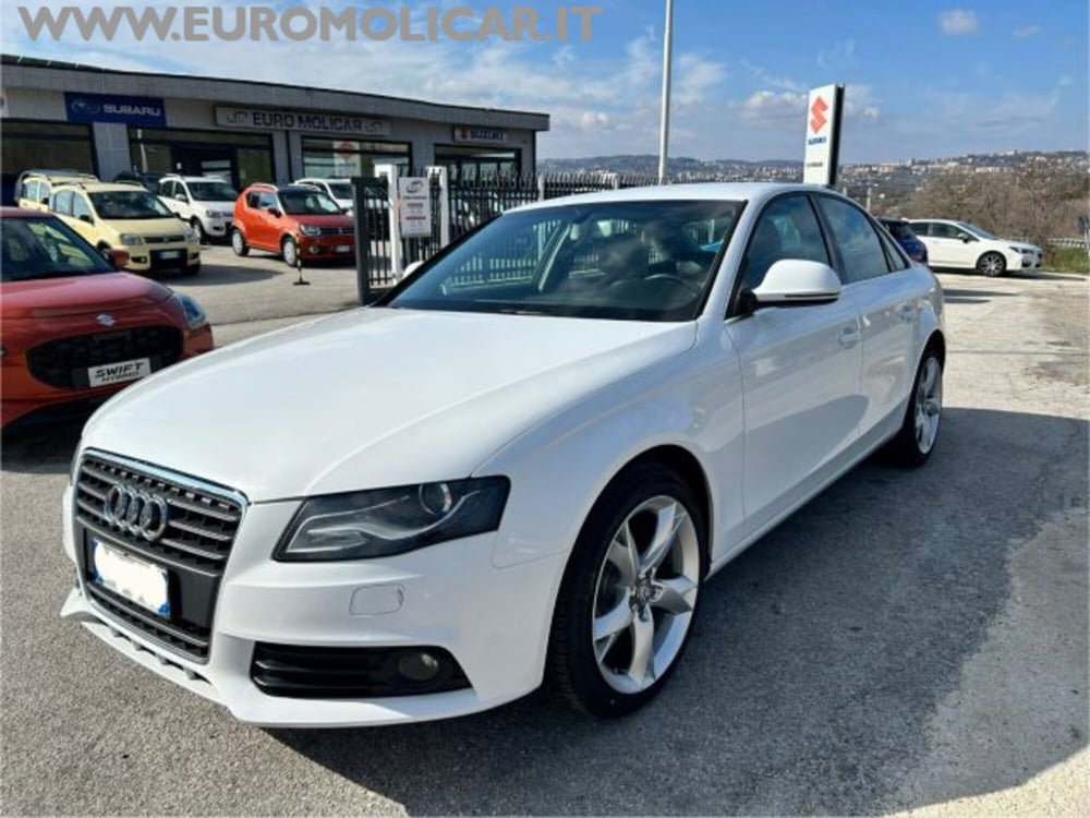 Audi A4 usata a Campobasso (18)