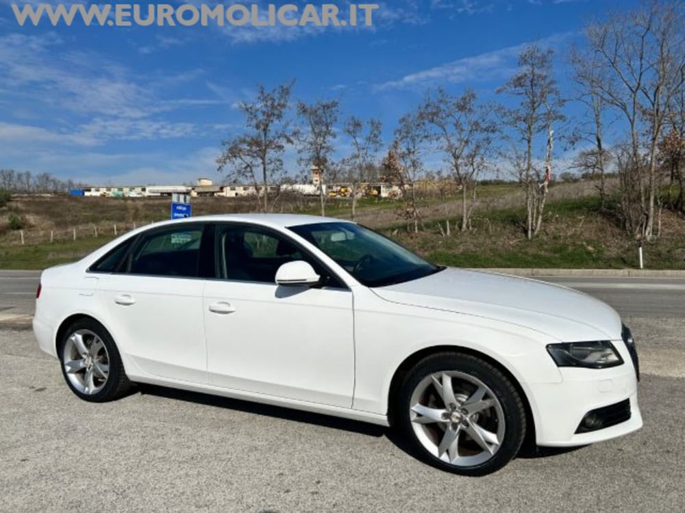 Audi A4 usata a Campobasso (9)