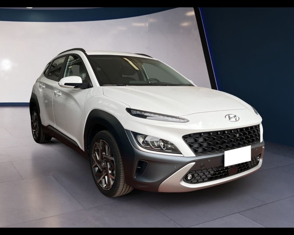 Hyundai Kona usata a Torino (2)