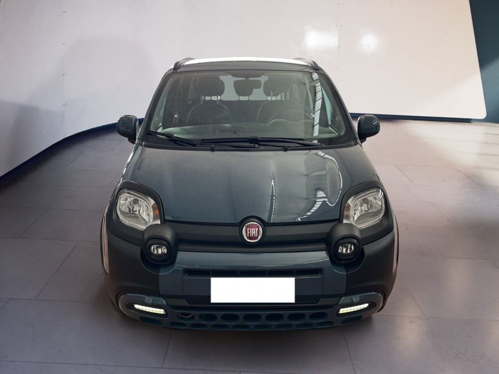 Fiat Panda Cross usata a Torino