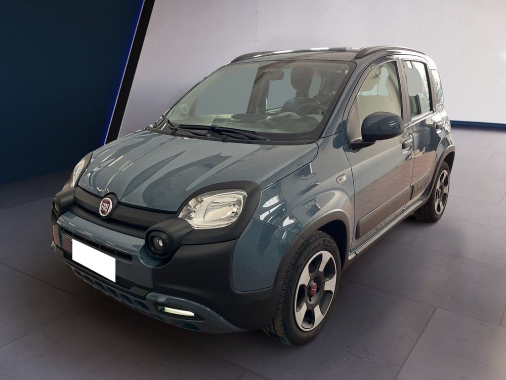 Fiat Panda Cross usata a Torino (2)