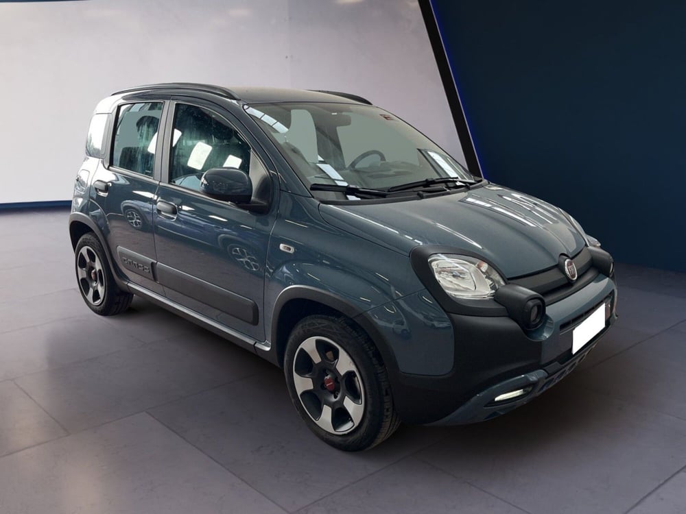 Fiat Panda Cross usata a Torino (3)