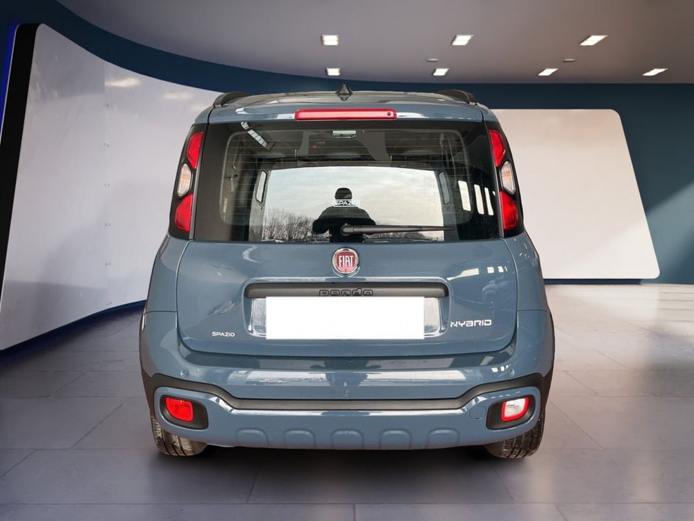 Fiat Panda Cross usata a Torino (5)