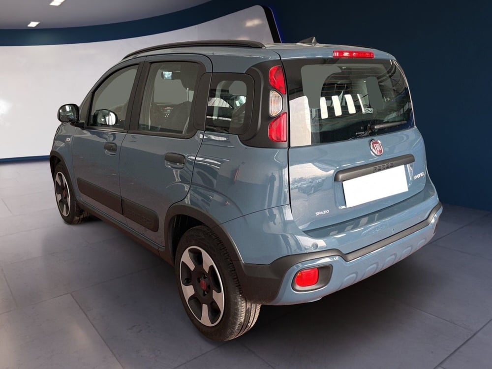 Fiat Panda Cross usata a Torino (6)