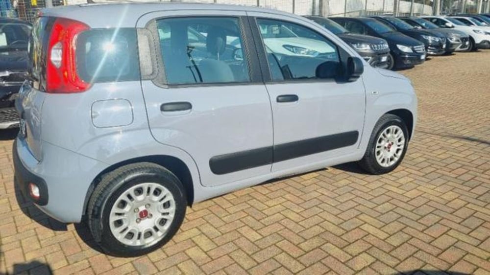 Fiat Panda usata a Savona (16)