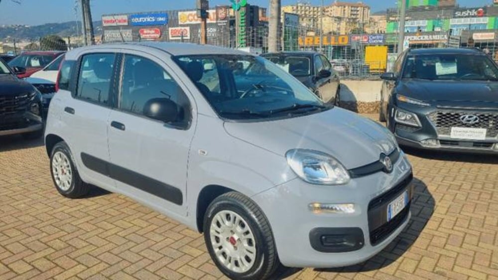 Fiat Panda usata a Savona (4)