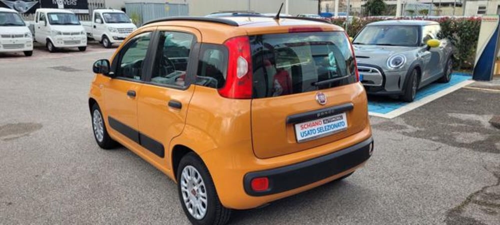 Fiat Panda usata a Napoli (4)