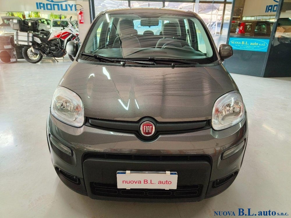 Fiat Panda usata a Verona