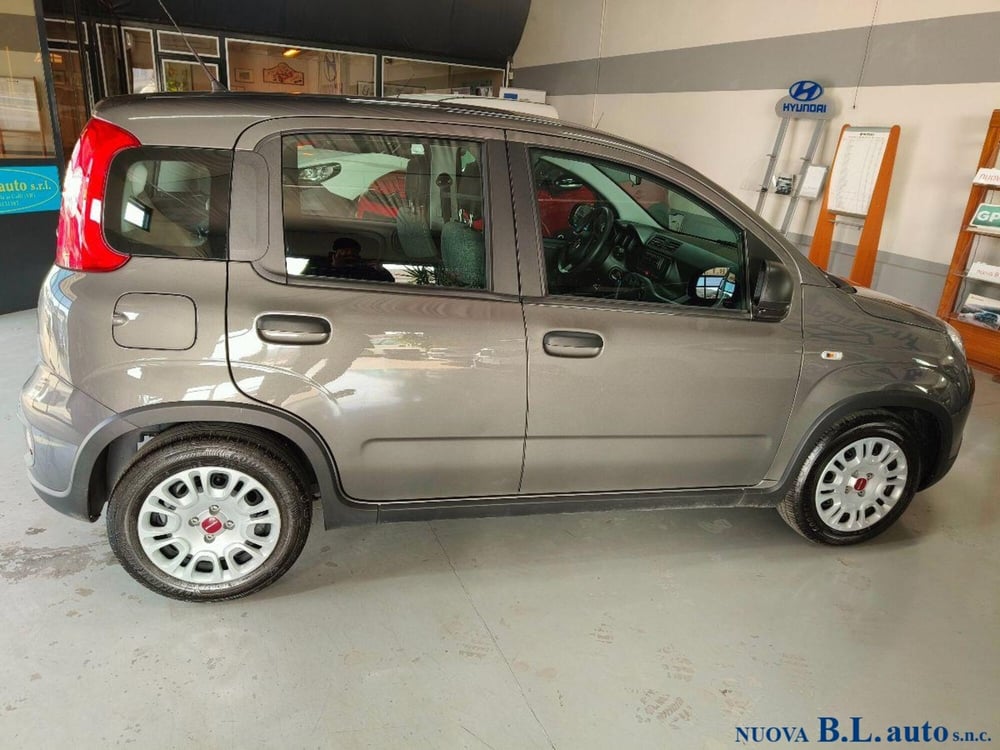 Fiat Panda usata a Verona (2)