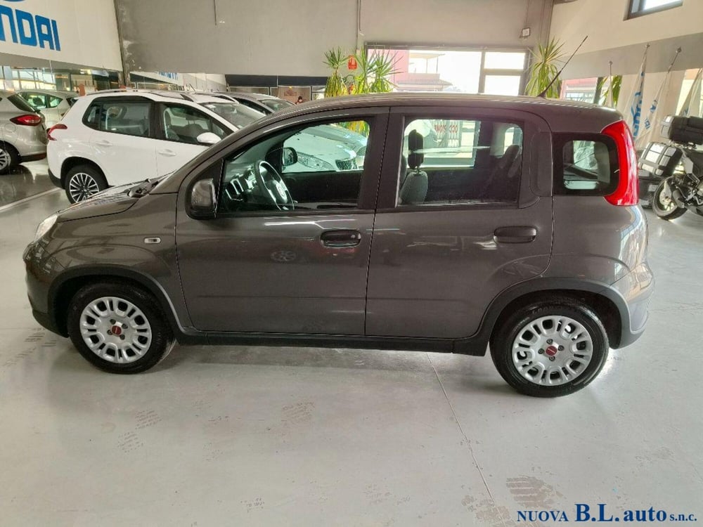 Fiat Panda usata a Verona (3)