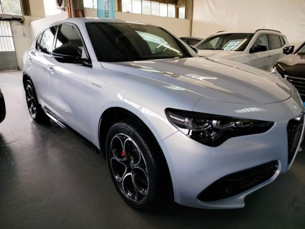 Alfa Romeo Stelvio usata a Forlì-Cesena (3)