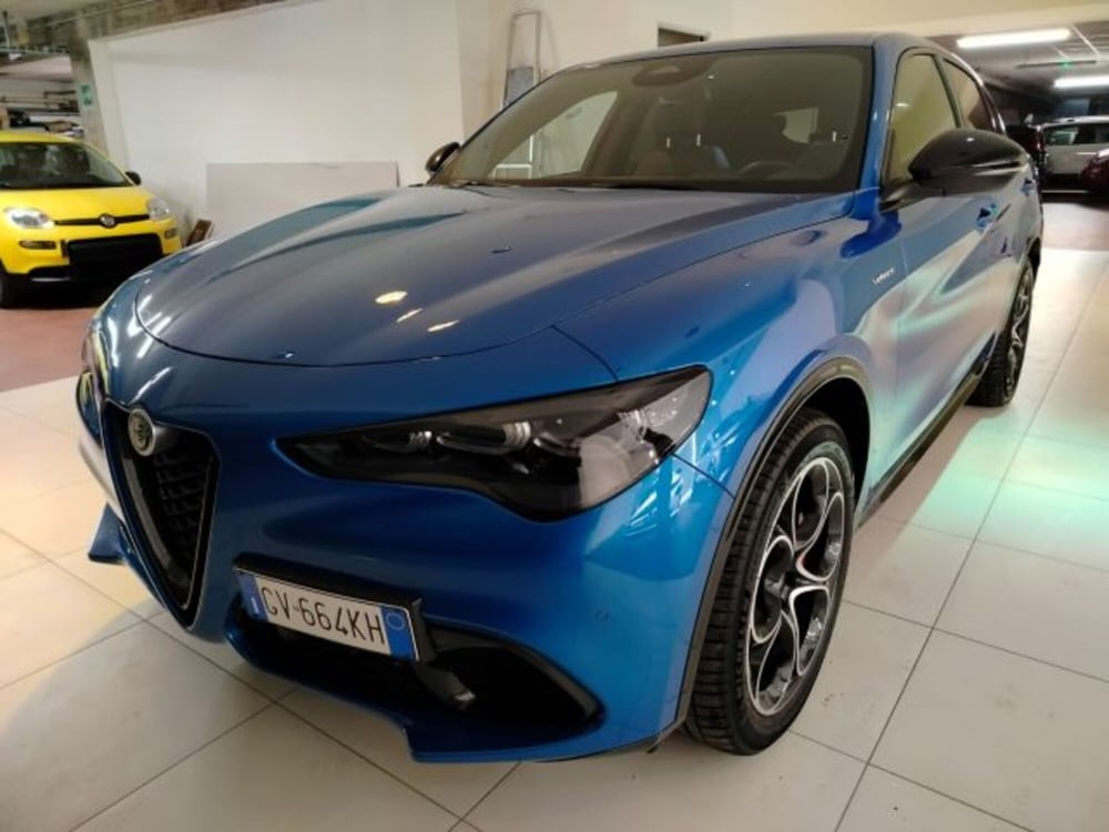 Alfa Romeo Stelvio usata a Forlì-Cesena (2)