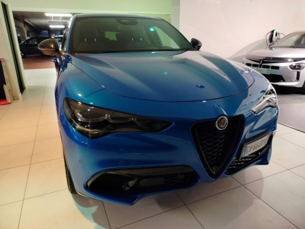 Alfa Romeo Stelvio usata a Forlì-Cesena (4)